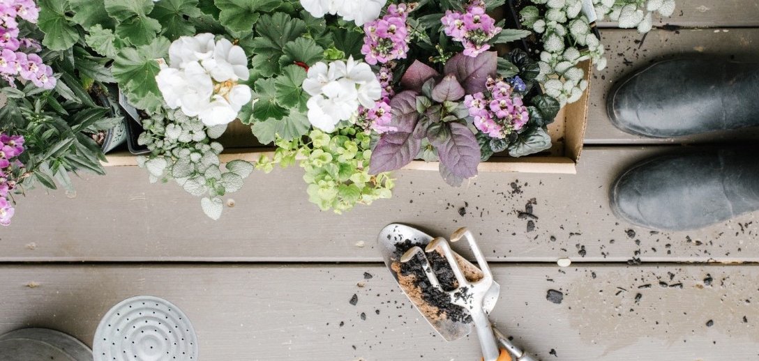 Co dobrego daje nam pielęgnowanie ogrodu. I jak się do tego zabrać.