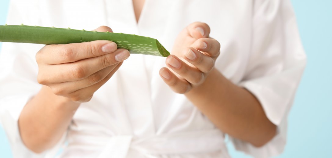 Aloes w kosmetykach - sposób na piękną i nawilżoną skórę