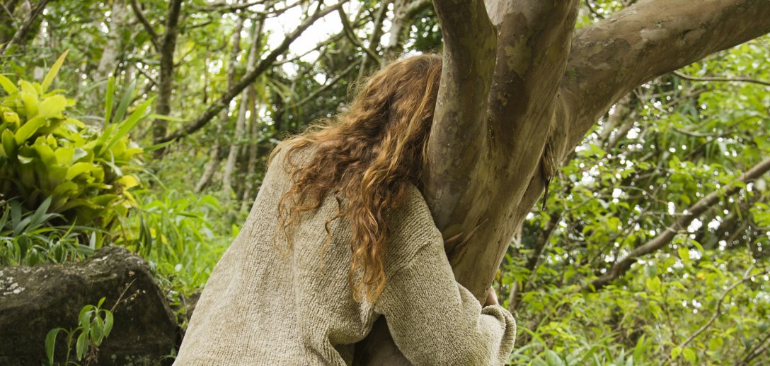 Leśne kąpiele shinrin yoku, czyli relaks i ukojenie umysłu na wyciagnięcie ręki