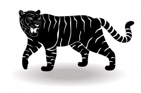 Horoskop chiński 2023 - Tygrys