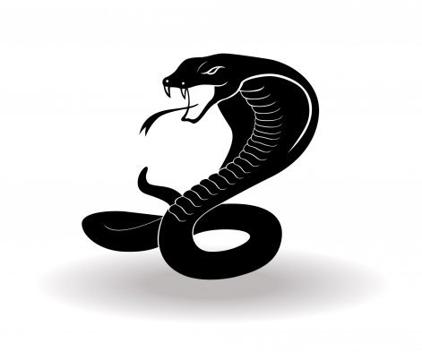 Chińskie znaki zodiaku - wąż