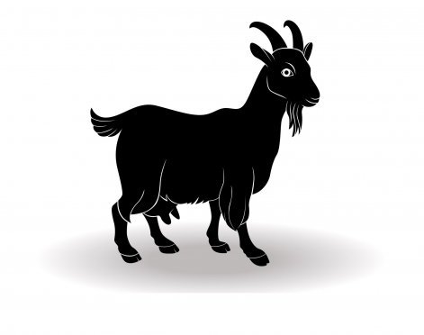 Chińskie znaki zodiaku - koza