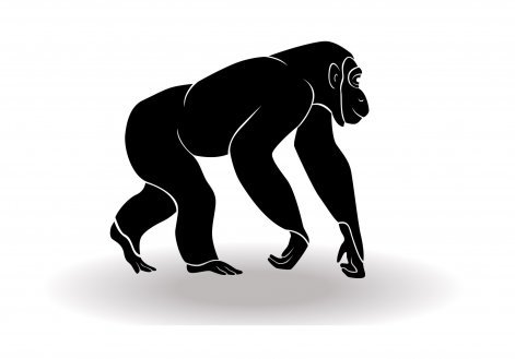 Horoskop chiński 2023 - Małpa