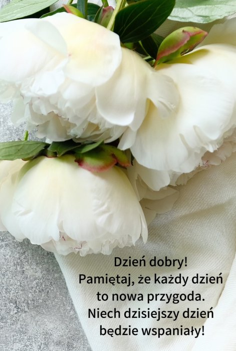 kartki na dzień dobry życzenia białe kwiaty