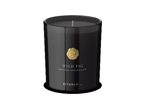 1115742-rituals-privatewildfig-scentedcandle-360g_4-by-3