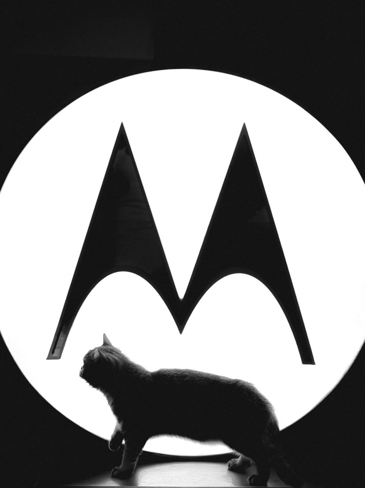 Motorola