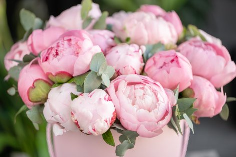 AdobeStock_270166742