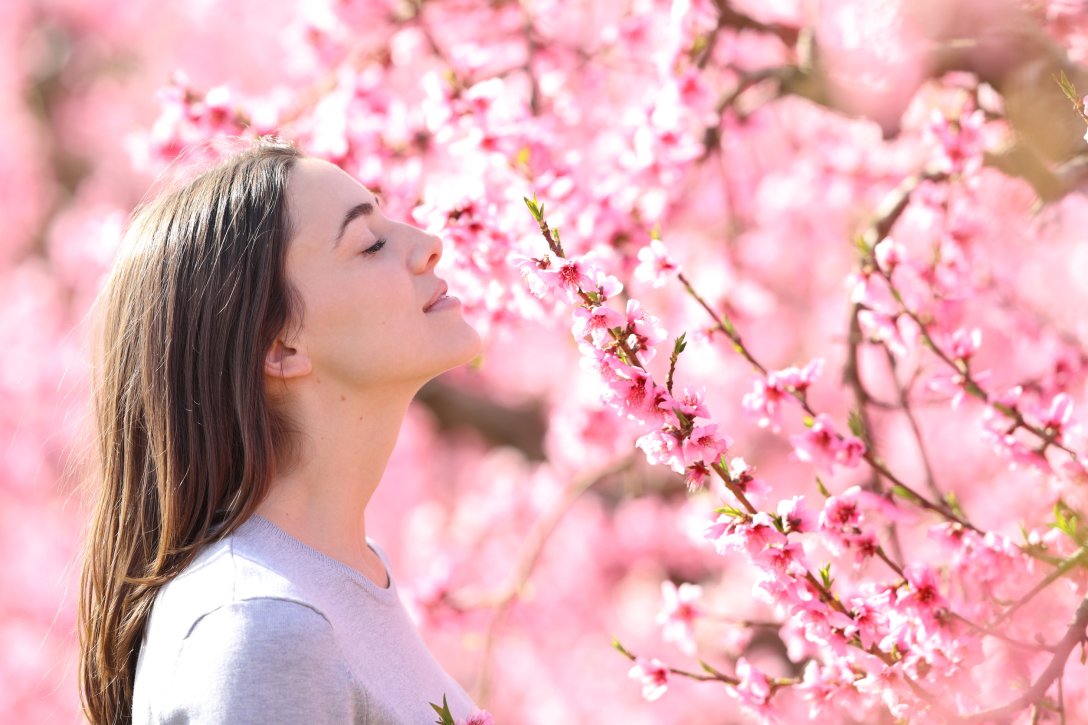 Tesori d’Oriente Ikigai – zapach codziennej harmonii, który relaksuje i uspokaja