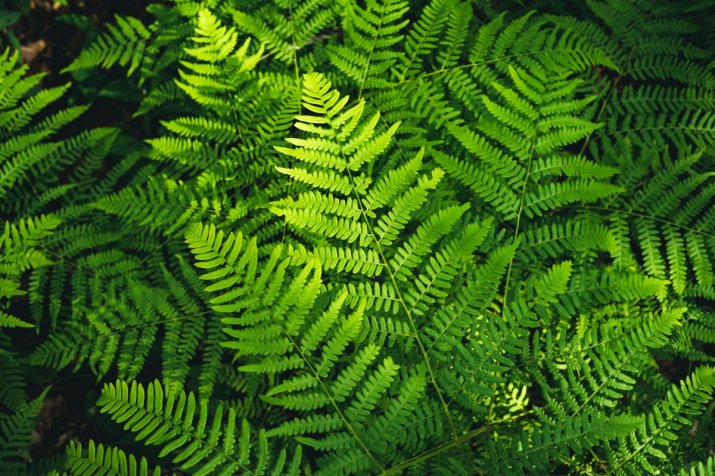 AdobeStock_423227901
