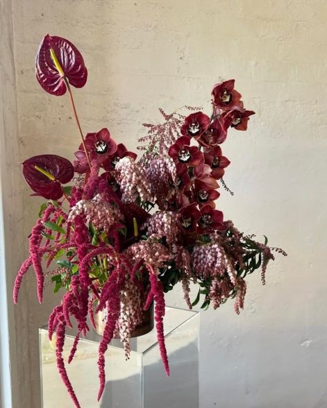 burgundowe kwiaty