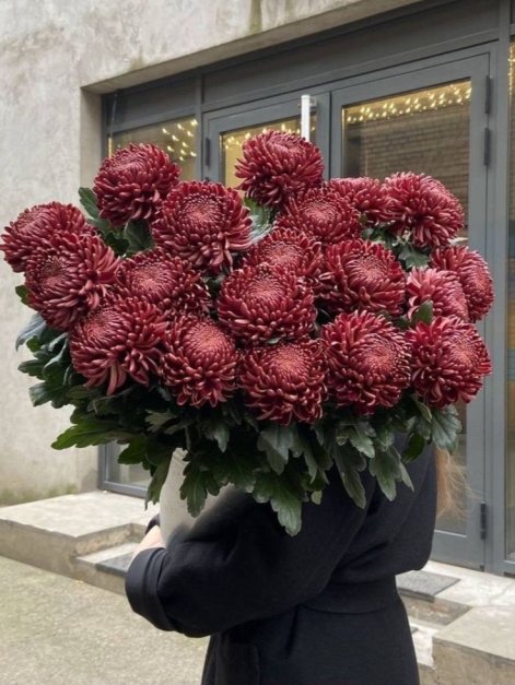 burgundowe kwiaty3