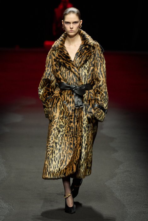 Roberto Cavalli F25 005