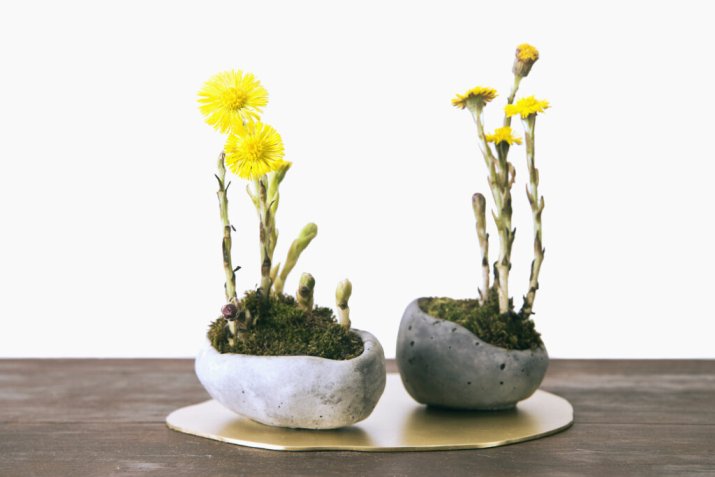 kusamonokompozycjazrobiona-na-warsztatach-1024x684