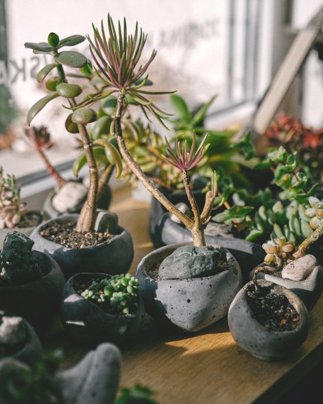 SnapInsta.to_551101319_1370185658444936_7431234918500016113_n (1)