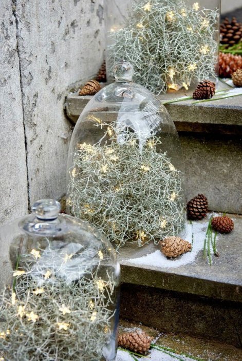 downloaded-file (58)