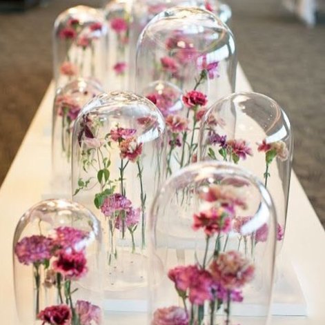 SnapInsta.to_915611_513019408863859_566571072_n