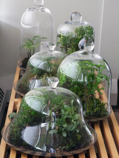 downloaded-file (62)