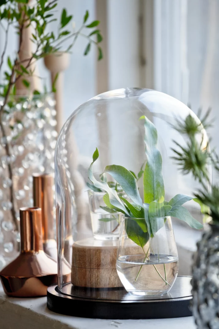 Trend: miniaturowe ogrody. Ten modny dodatek stylowo wyeksponuje domowe rośliny