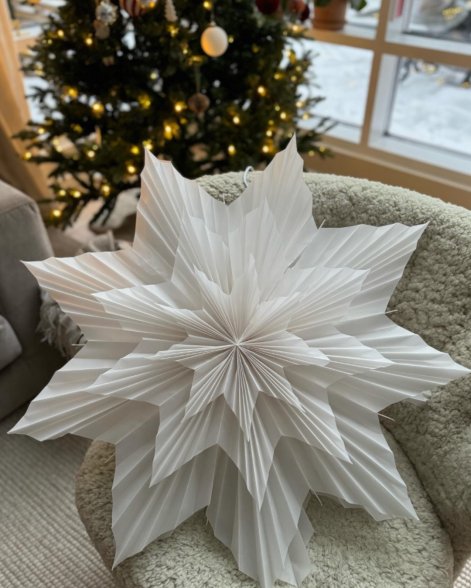 trendy na święta gwiazda