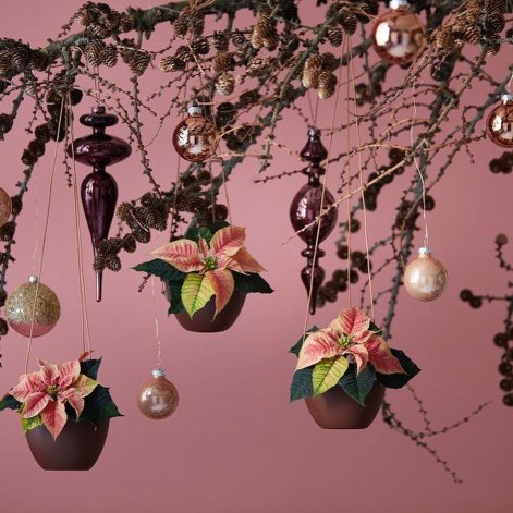 gwiazda-betlejemska-dekoracje-świąteczne