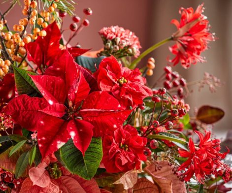 2024_Poinsettia_05000_Earth_toned_Tablescapes_02-1024x853