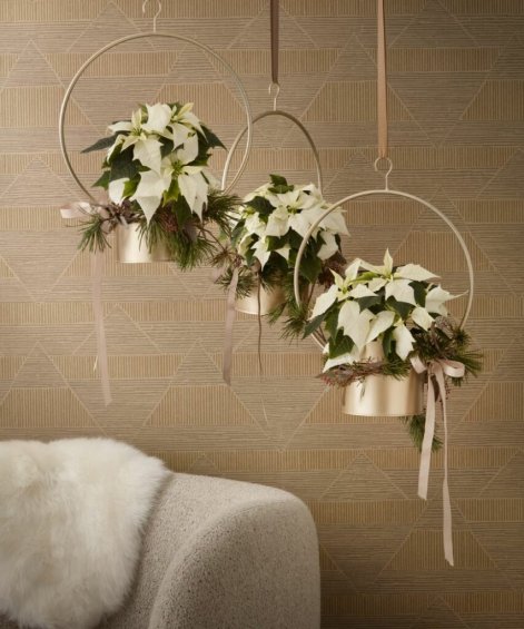 gwiazda-betlejemska-dekoracje-świąteczne-4