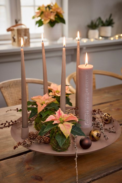 gwiazda-betlejemska-dekoracje-świąteczne-7