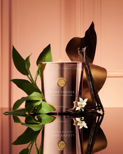 SnapInsta.to_582088454_18536157457057993_5800055639905682787_n