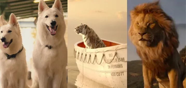 17 wzruszających filmów o zwierzętach. Potrafią dotknąć najwrażliwszych strun