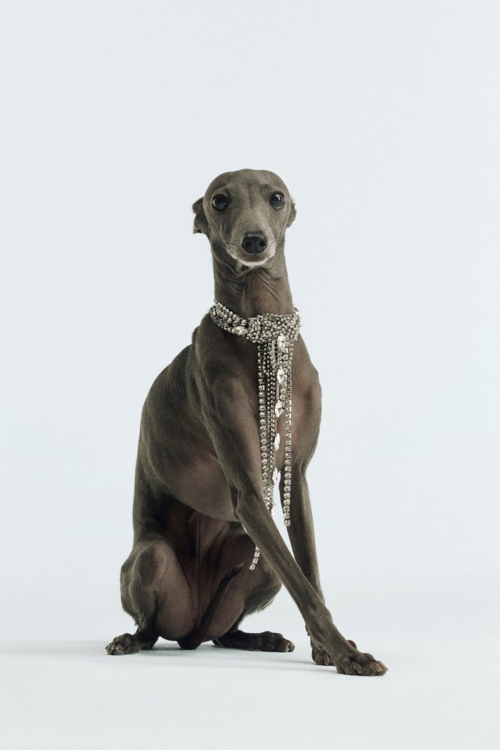 A VERY BIMBA XMAS_BIMBA Y LOLA_1