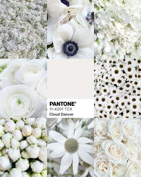 cloud-dancer-kolor-Pantone-2026