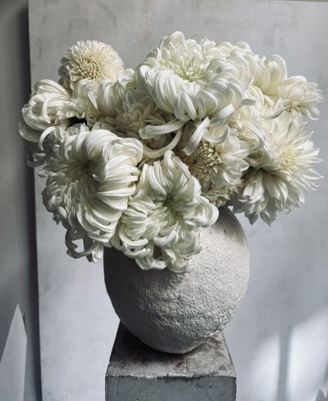 cloud-dancer-aranżacje-kwiatowe