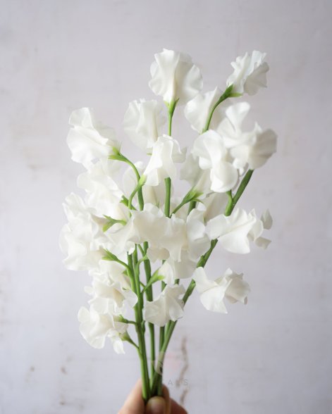 cloud-dancer-aranżacje-kwiatowe