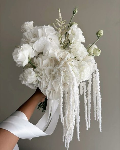 58e61a3b0db33cdfc136c50bd7771fe2