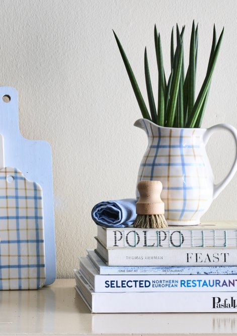 sansewieria floradania