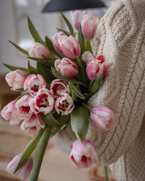 bukiety z tulipanów-1