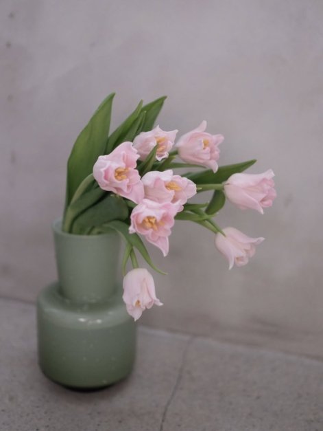 bukiet z tulipanów 5