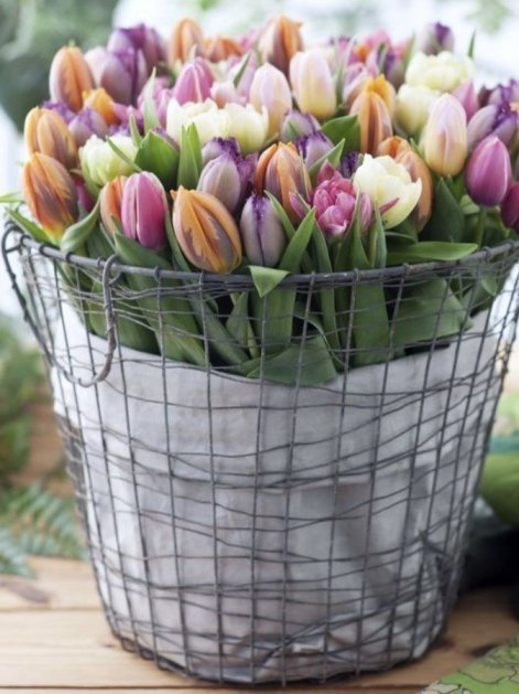 bukiet z tulipanów11