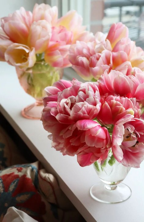 bukiet tulipanów 14