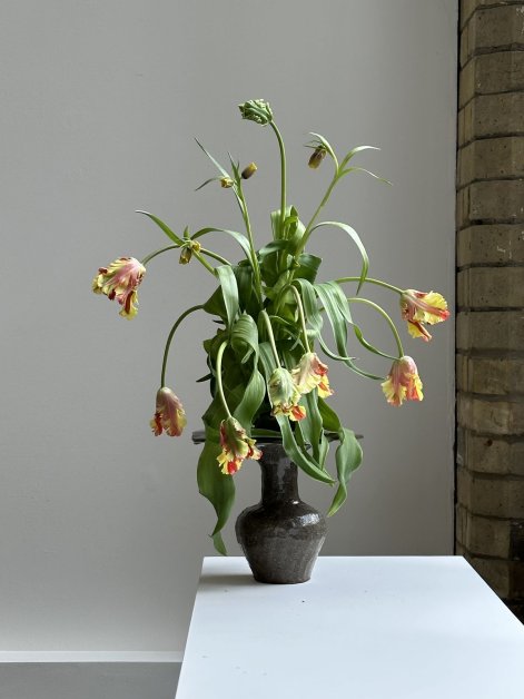 bukiet z tulipanów 13