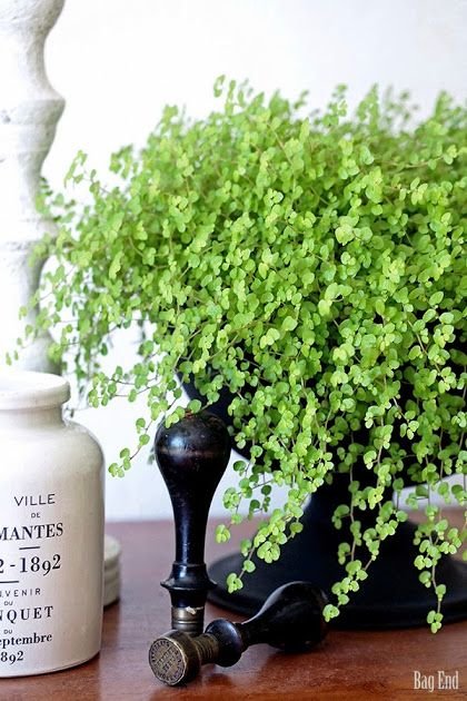 a51c8e24309703779bb6c9bc53e64b6e