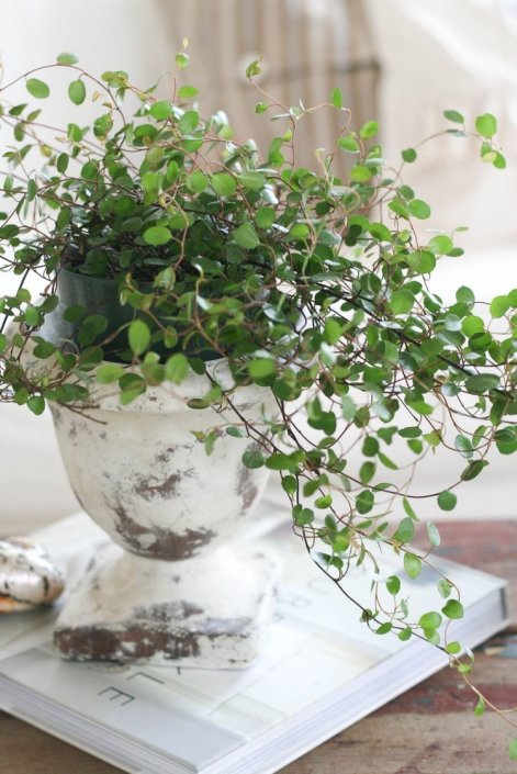 7db65aded5cafdc55164333ccad357a5