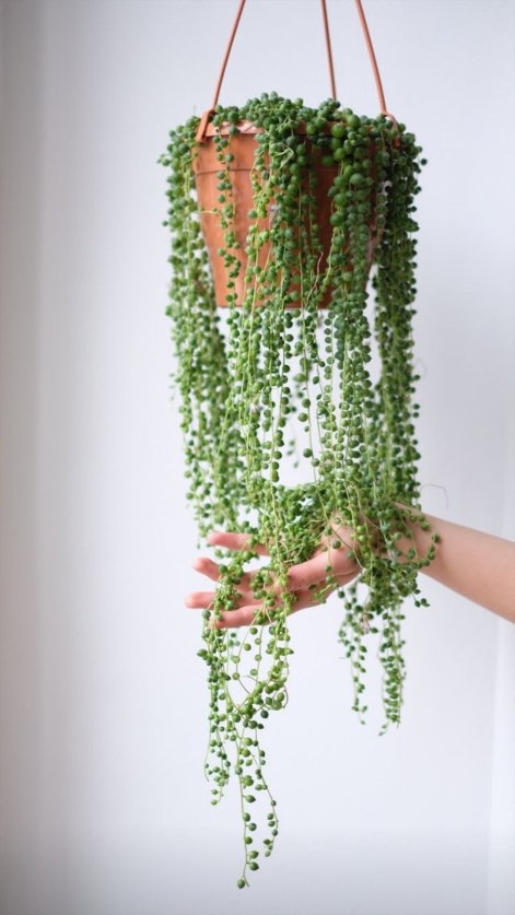 52491808a9523e3ad5949bab2d5ac001