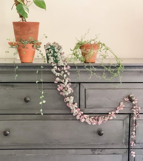 00e597e7949646dc4941b58df1f1e187