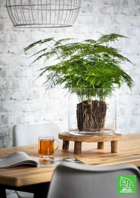 d850f28462fb469fc5b81a207db850cb