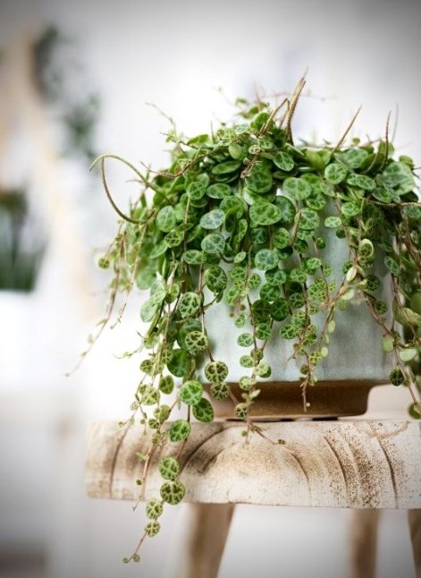 9d193b1b75713768e15e4f6c7707e924