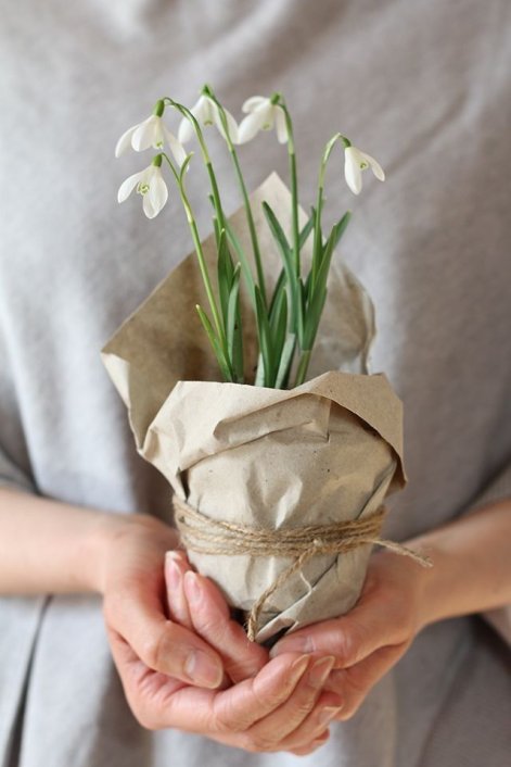 kwiatowe dekoracje z przebiśniegów