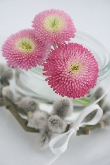 kwiatowe dekoracje ze stokrotek