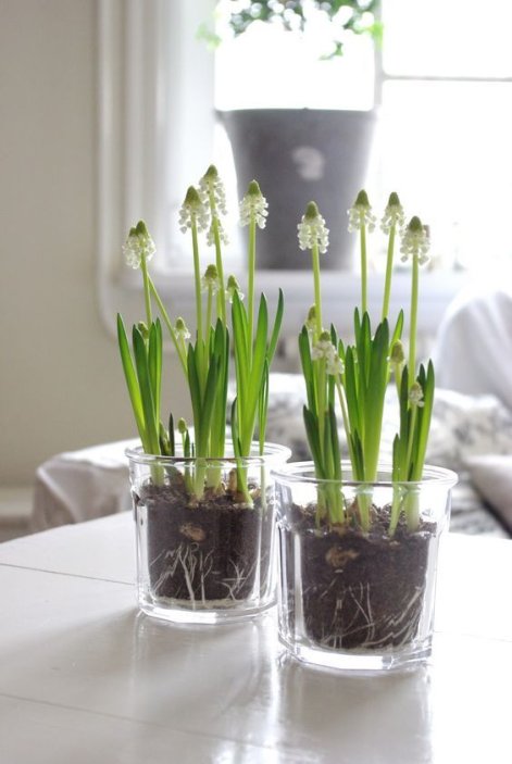 dekoracje z szafirków