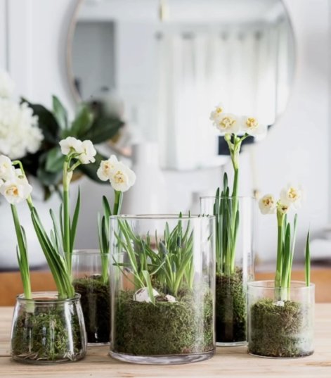 555de2afea19399d0d718cdfc63e5559